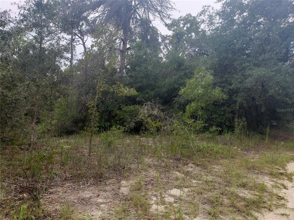 1141 MACAW AVENUE LAKE PLACID, FL 33852