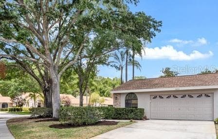5479 SALEM SQUARE DRIVE S PALM HARBOR, FL 34685