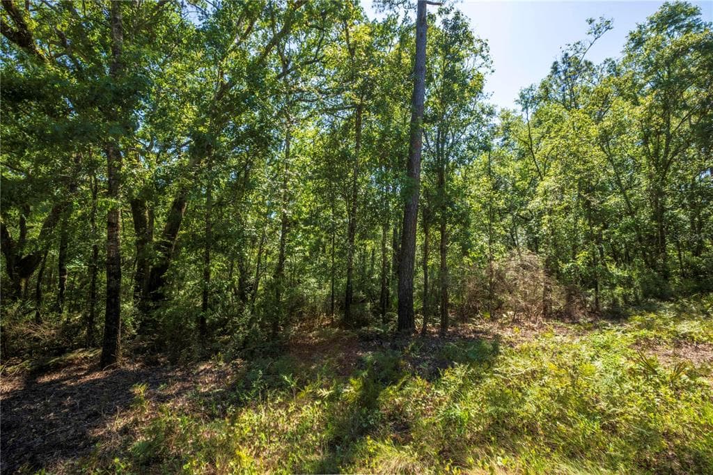 375 NE WEST PEPPERMINT TRAIL PINETTA, FL 32350