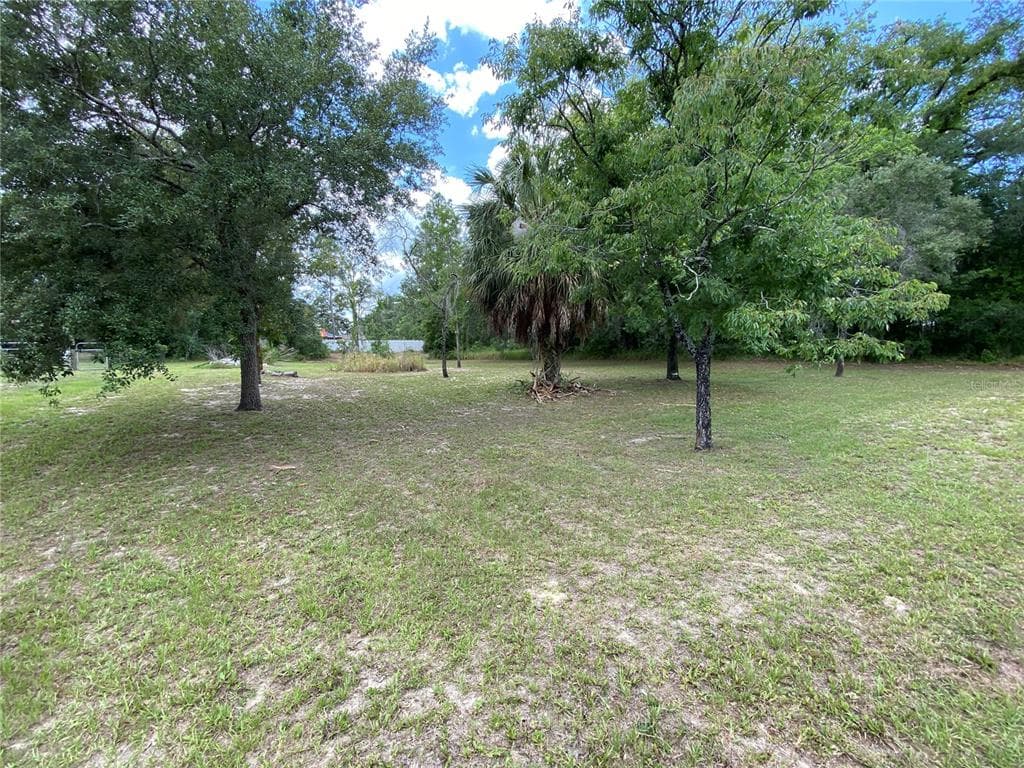 12378 PIPING PLOVER AVENUE WEEKI WACHEE, FL 34614