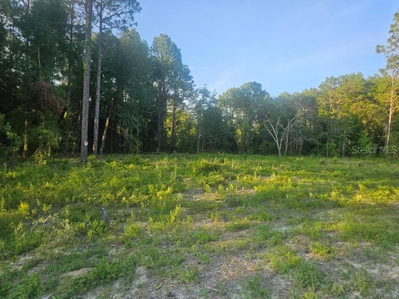 15578 CLIFF SWALLOW ROAD BROOKSVILLE, FL 34614