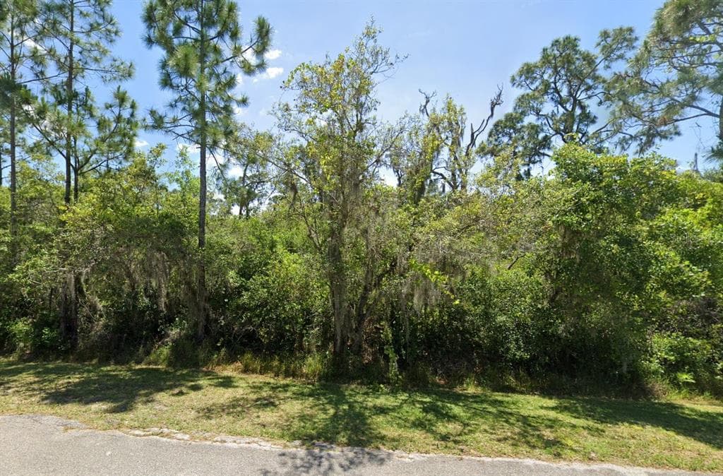 1527 RUTLEDGE AVENUE LAKE PLACID, FL 33852