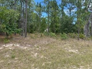 2011 W TACOMA DRIVE CITRUS SPRINGS, FL 34434