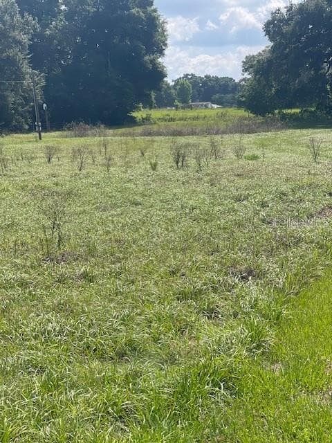 9849 COUNTY ROAD 235 WILDWOOD, FL 34785