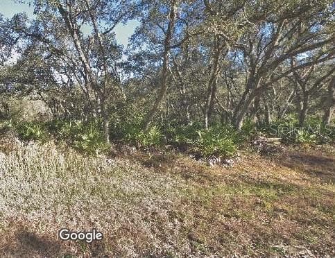 34335 CLEFT ROCK STREET WEBSTER, FL 33597
