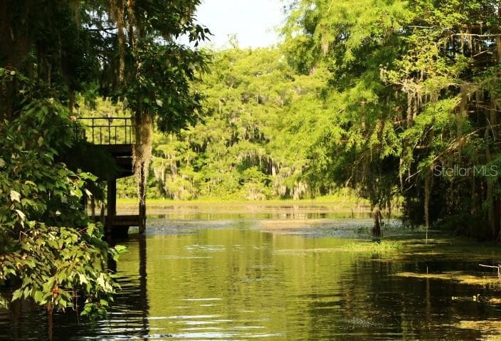 4885 CR-306A LAKE PANASOFFKEE, FL 33538