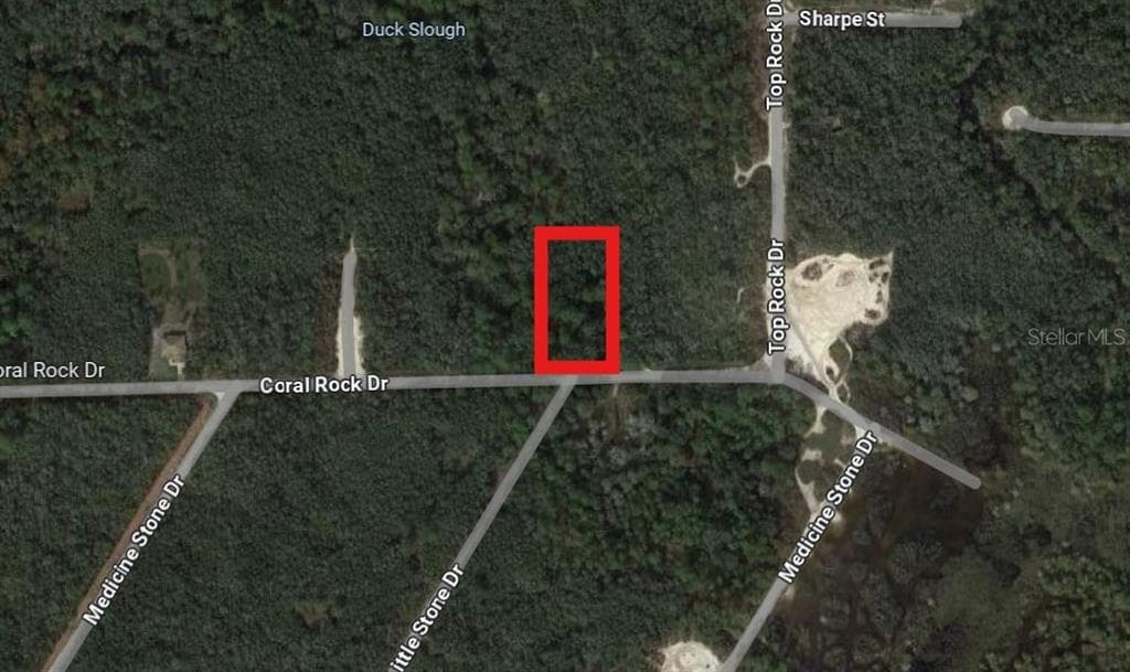 CORAL ROCK STREET WEBSTER, FL 33597