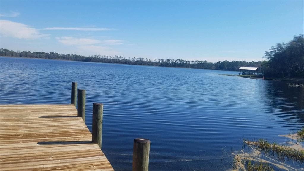 102 SUSAN LAKE SHORE LANE HAWTHORNE, FL 32640