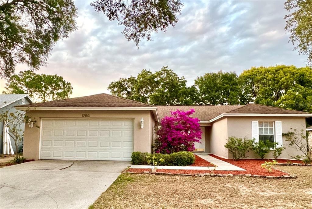 1009 PEACHWOOD DRIVE BRANDON, FL 33510
