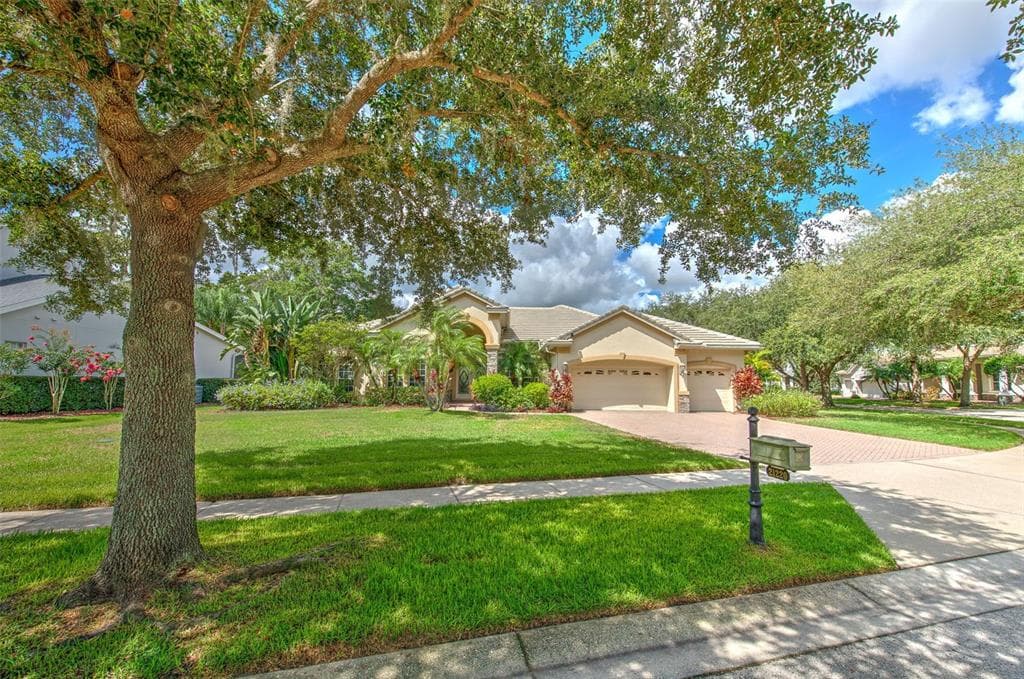 21220 SKY VISTA DRIVE LAND O LAKES, FL 34637