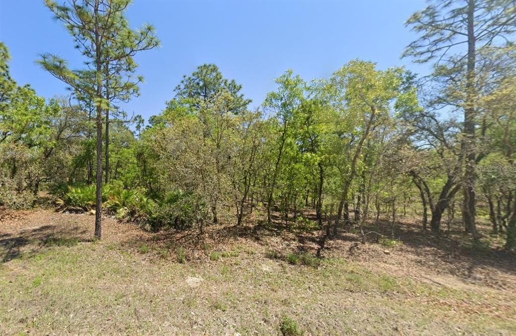 SW 125 TERRACE DUNNELLON, FL 34432