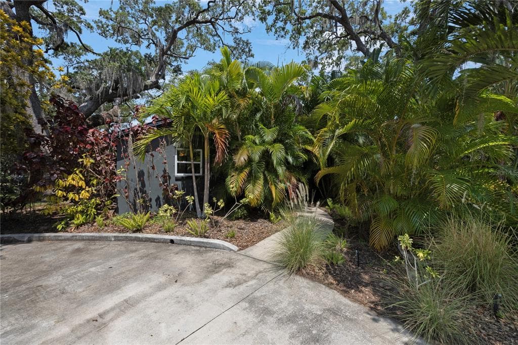 335 8TH AVENUE S SAFETY HARBOR, FL 34695