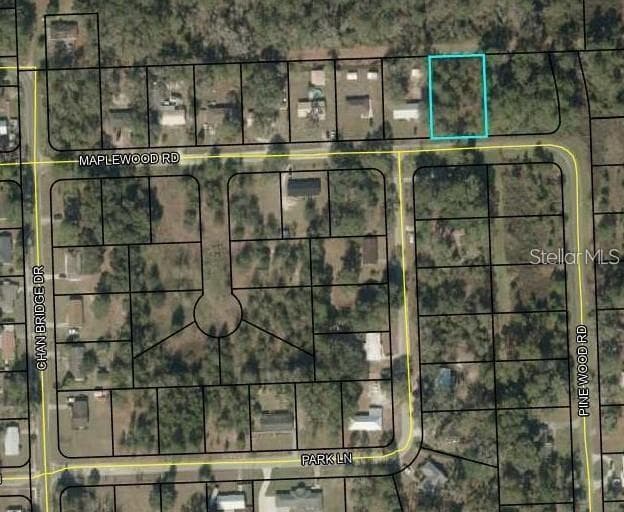 MAPLEWOOD ROAD JASPER, FL 32052