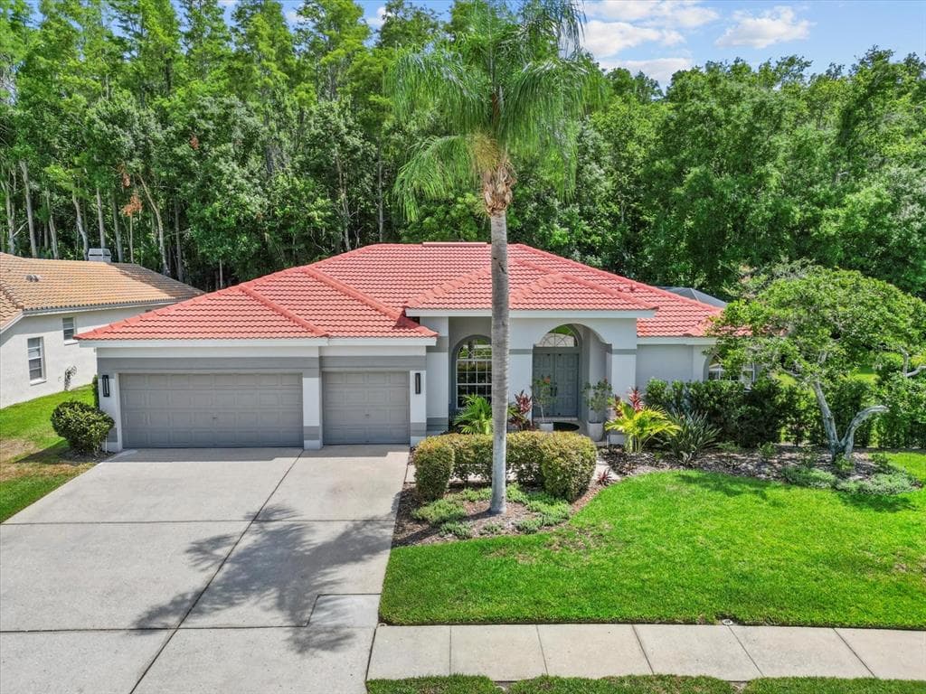 3181 STERLING STREET TARPON SPRINGS, FL 34688
