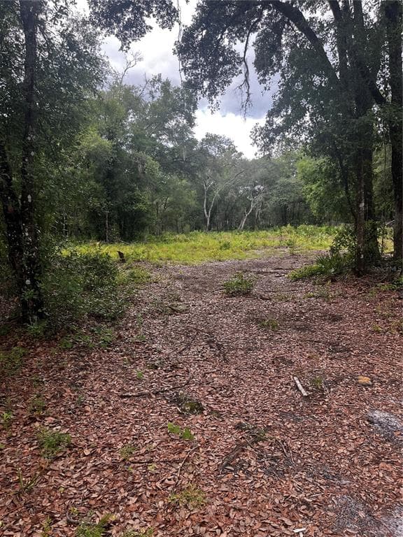 CITADEL DRIVE WEBSTER, FL 33597
