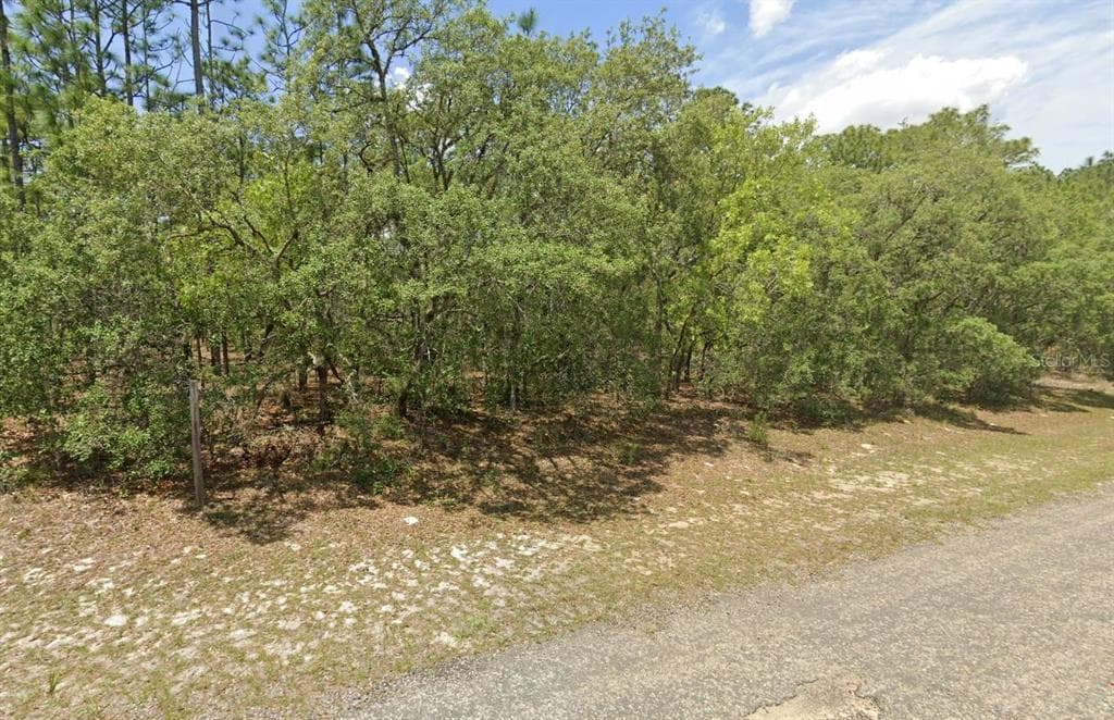 7018 N FOXDALE DRIVE CITRUS SPRINGS, FL 34434