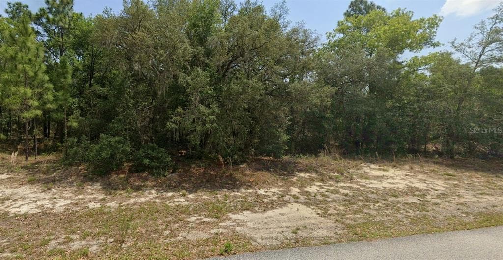 11001 N HARRIET WAY CITRUS SPRINGS, FL 34434