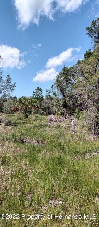 18167 QUINTON ROAD BROOKSVILLE, FL 34614