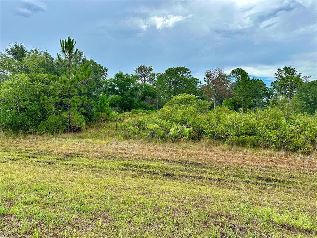 REYNOLDS PARKWAY ORLANDO, FL 32833