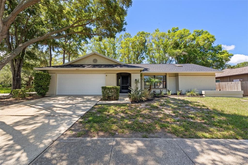 3107 BLUE HERON STREET SAFETY HARBOR, FL 34695