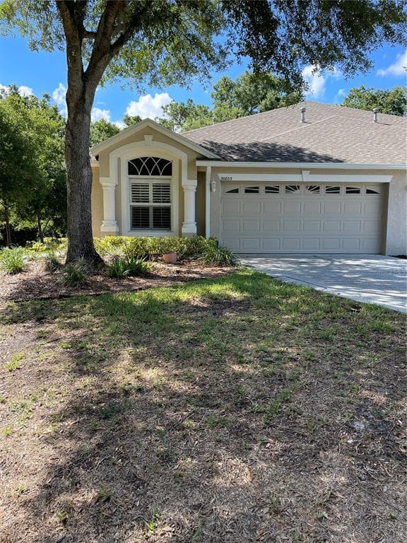 30803 PROUT COURT WESLEY CHAPEL, FL 33543