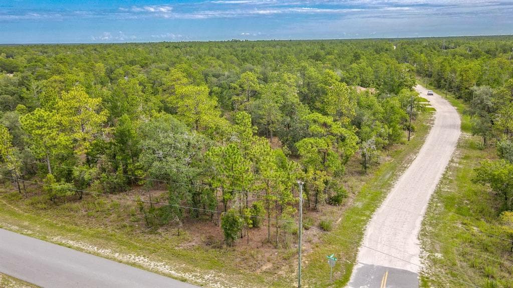 12385 BARNEVELDE ROAD WEEKI WACHEE, FL 34614