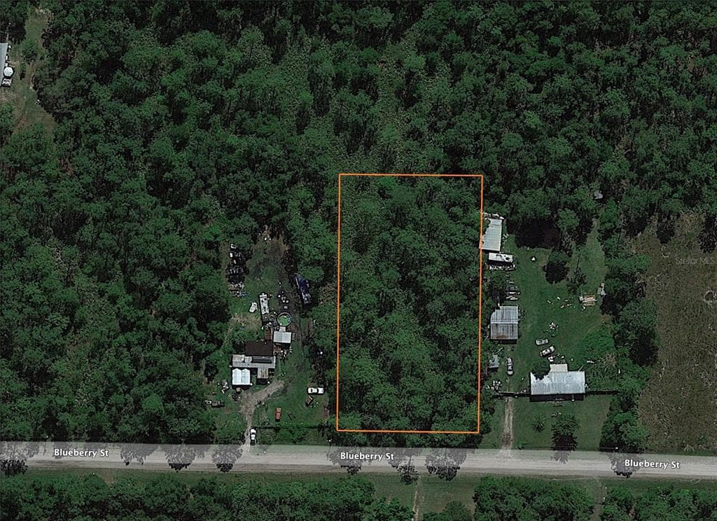 2315 BLUEBERRY STREET BUNNELL, FL 32110