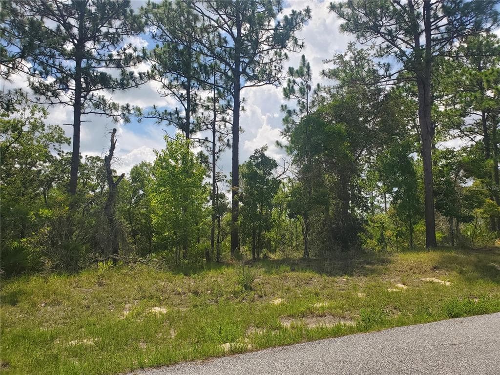 6562 N CLAYTON AVENUE DUNNELLON, FL 34434