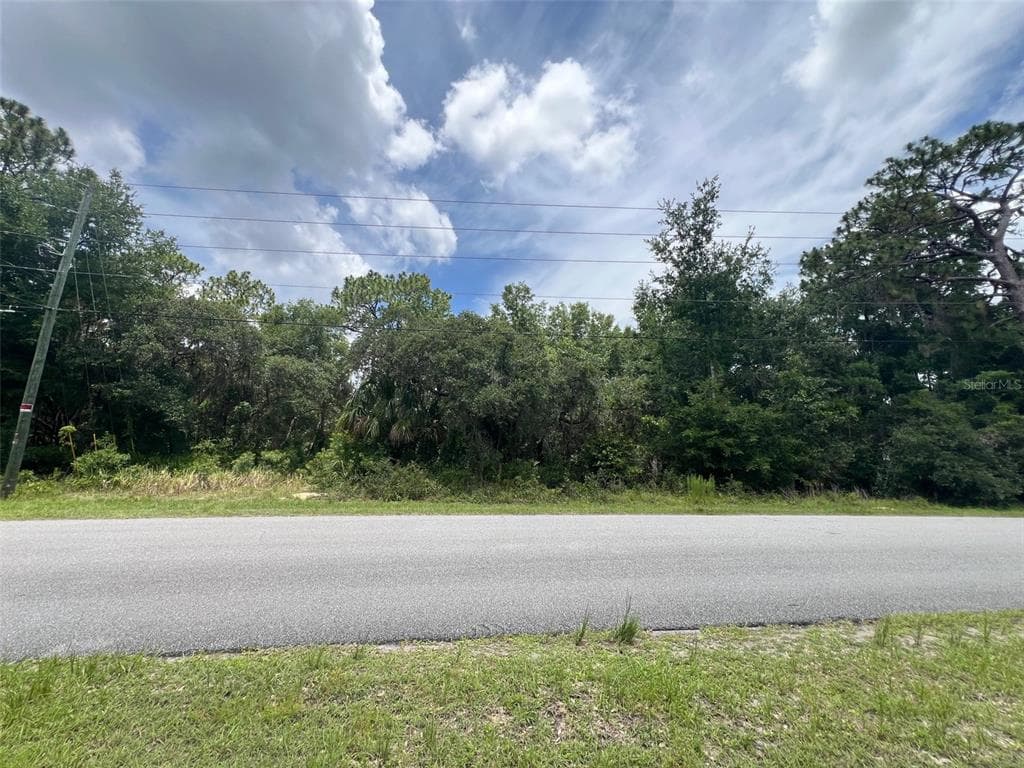 1230 S TRELLIS DRIVE HOMOSASSA, FL 34448