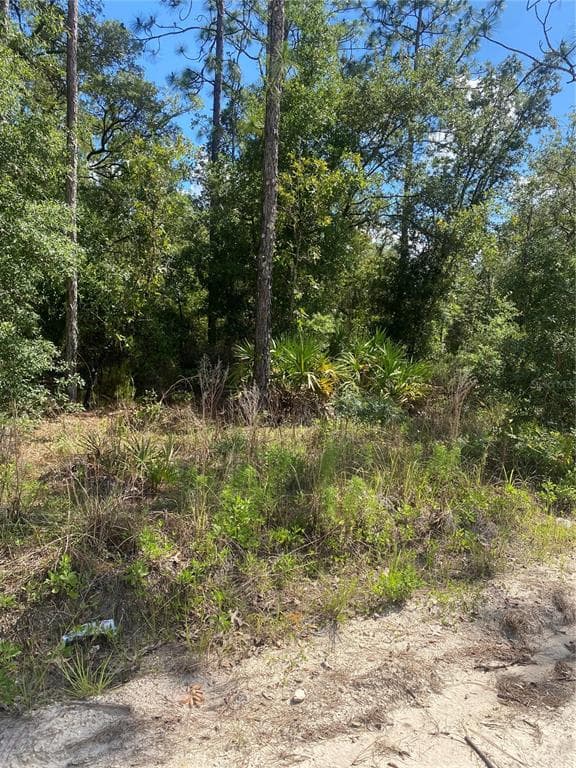 88TH LANE BRONSON, FL 32621