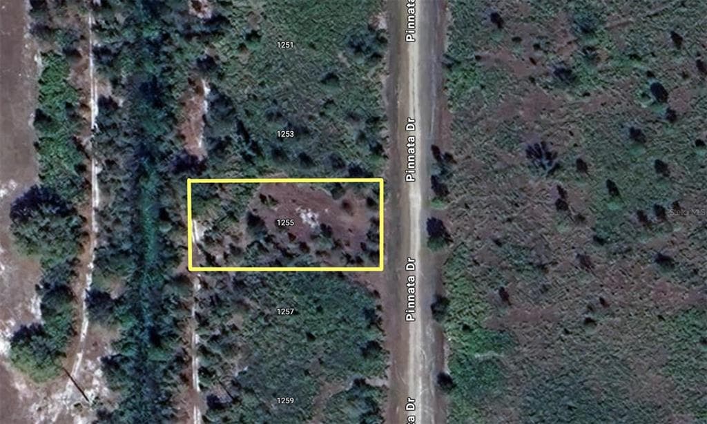 1255 PINNATA DRIVE INDIAN LAKE ESTATES, FL 33855