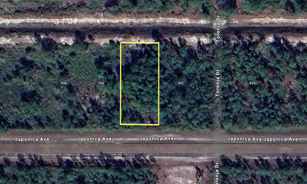 905 JAPONICA AVENUE INDIAN LAKE ESTATES, FL 33855
