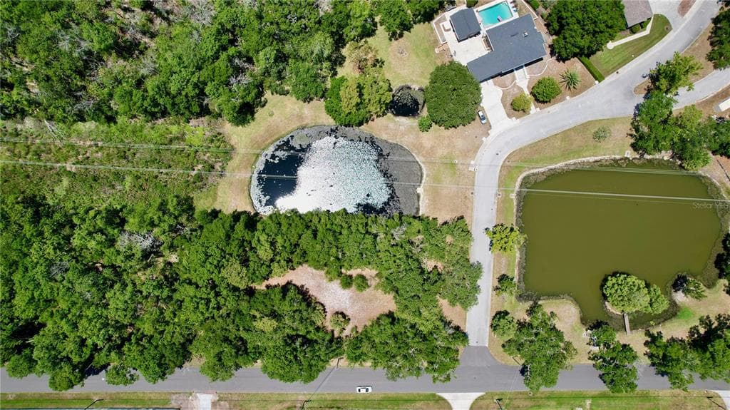 N HIGHLAND AVENUE TARPON SPRINGS, FL 34688