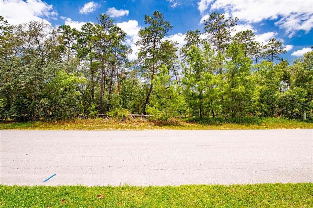 13 LONE PINE STREET HOMOSASSA, FL 34446