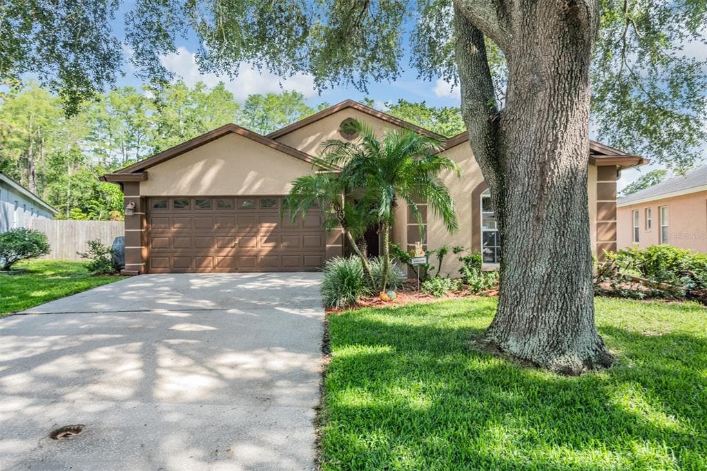 11141 INDIAN OAKS DRIVE TAMPA, FL 33625