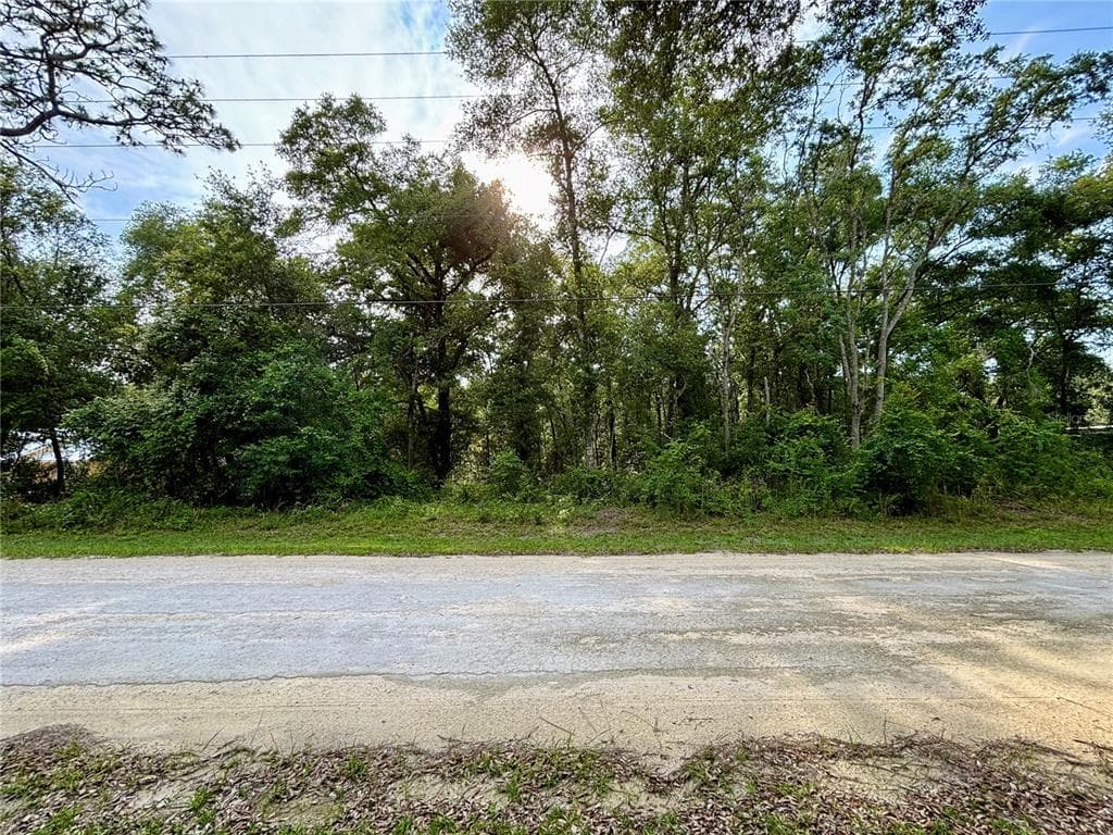 7351 KNOXVILLE DRIVE WEBSTER, FL 33597