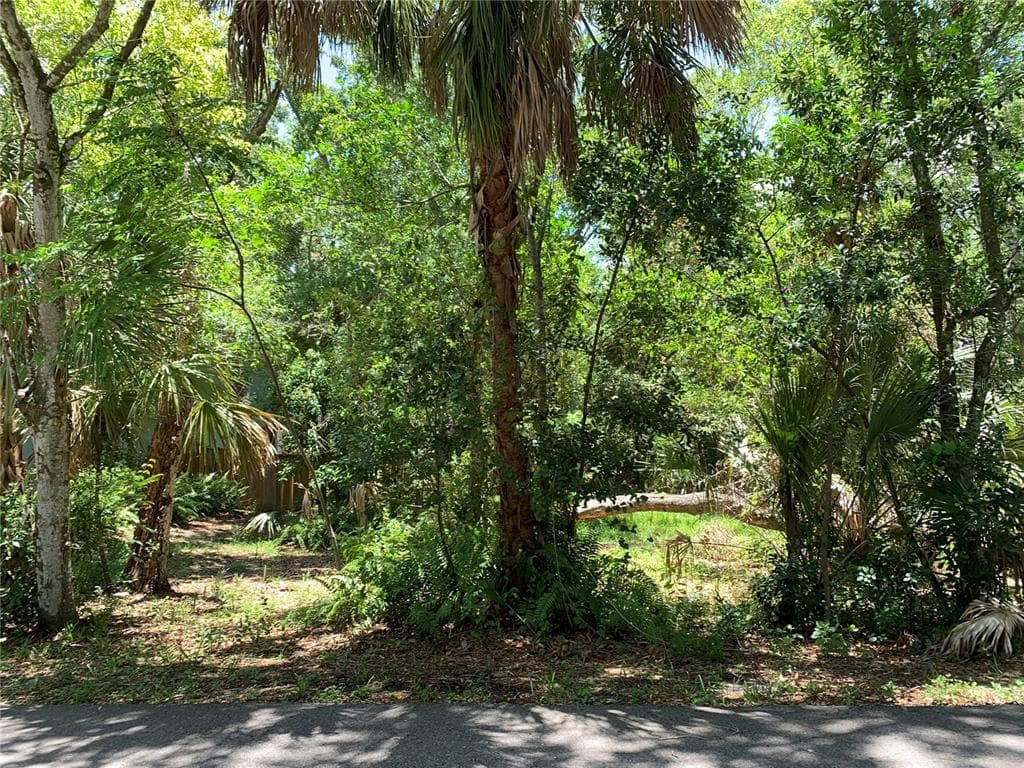 CENTER AVENUE TARPON SPRINGS, FL 34689