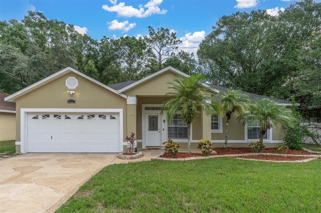 10249 BELLWOOD AVENUE NEW PORT RICHEY, FL 34654