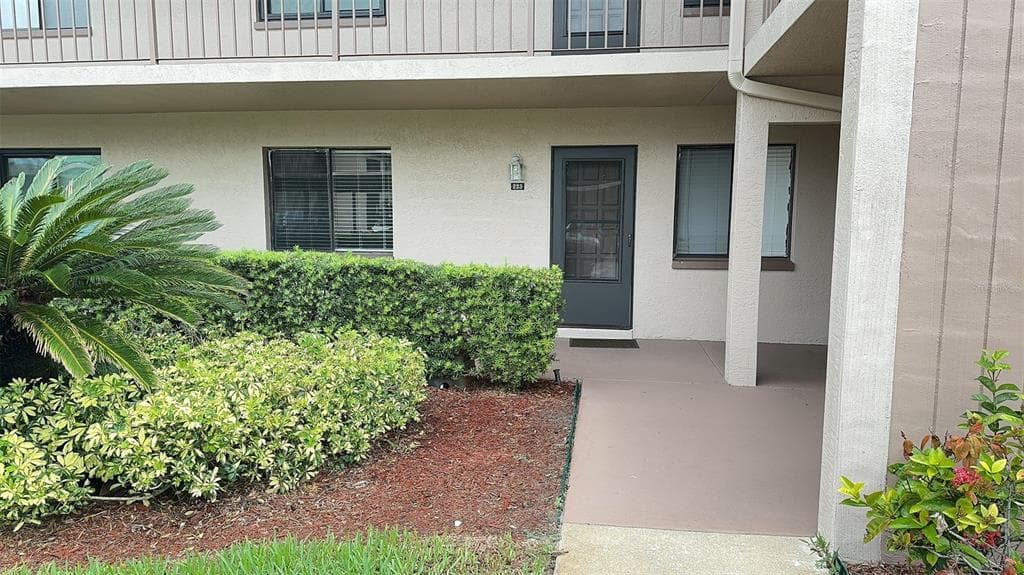 223 MARY DRIVE OLDSMAR, FL 34677