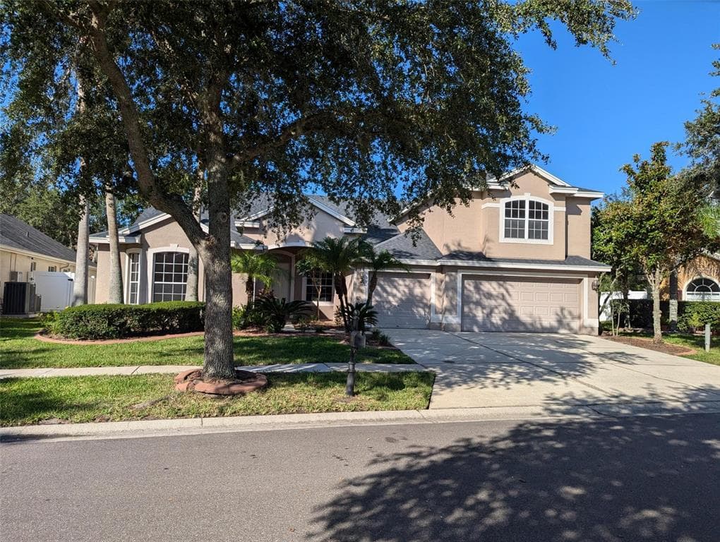 19116 NATURE PALM LANE TAMPA, FL 33647