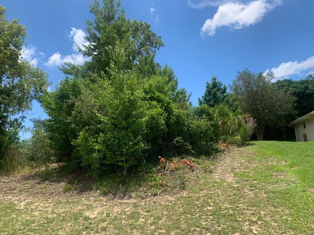COVEWOOD DRIVE SPRING HILL, FL 34609