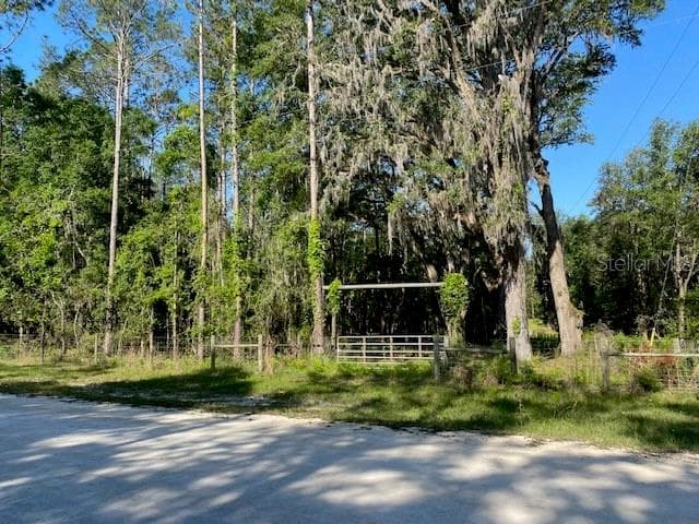 TBD SW HENDERSON TERRACE FORT WHITE, FL 32038