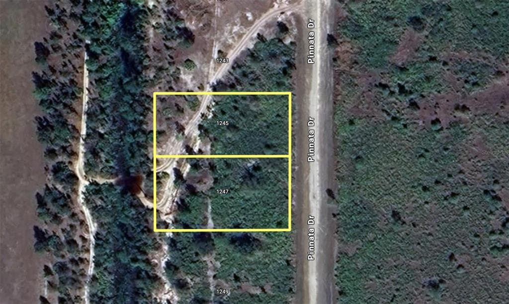 1245 & 1247 PINNATA DRIVE INDIAN LAKE ESTATES, FL 33855