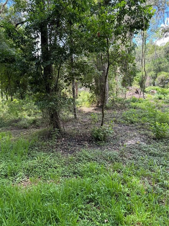 COUNTY ROAD 643 BUSHNELL, FL 33513