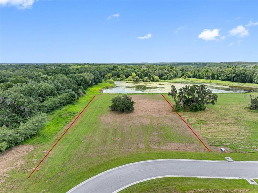15306 FISHHAWK HEIGHTS RUN LITHIA, FL 33547
