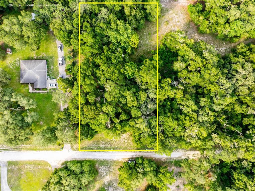 7122 ELAINE DRIVE WEBSTER, FL 33597