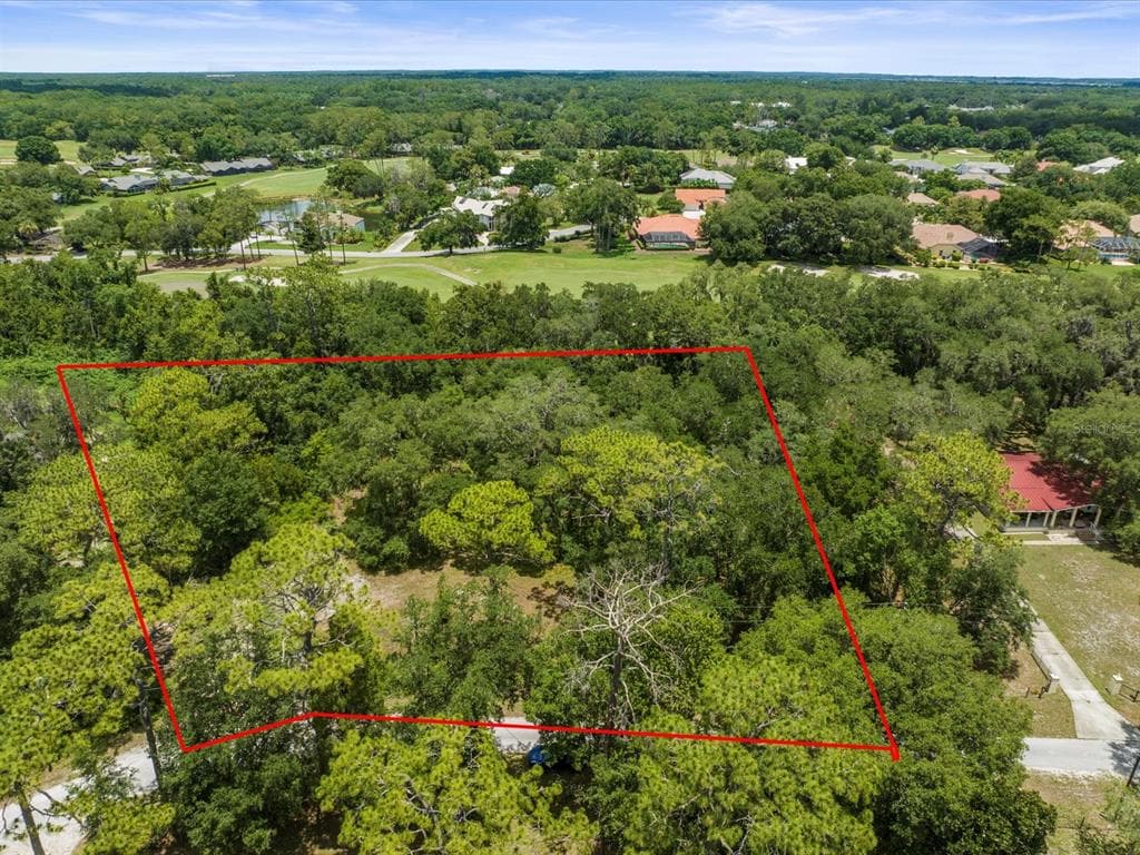 30201 LYNNE DRIVE WESLEY CHAPEL, FL 33543