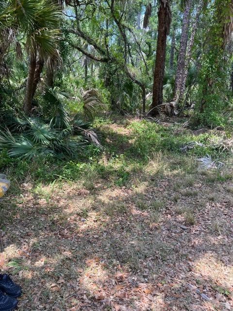 13476 SEDGWICK AVENUE PORT CHARLOTTE, FL 33953