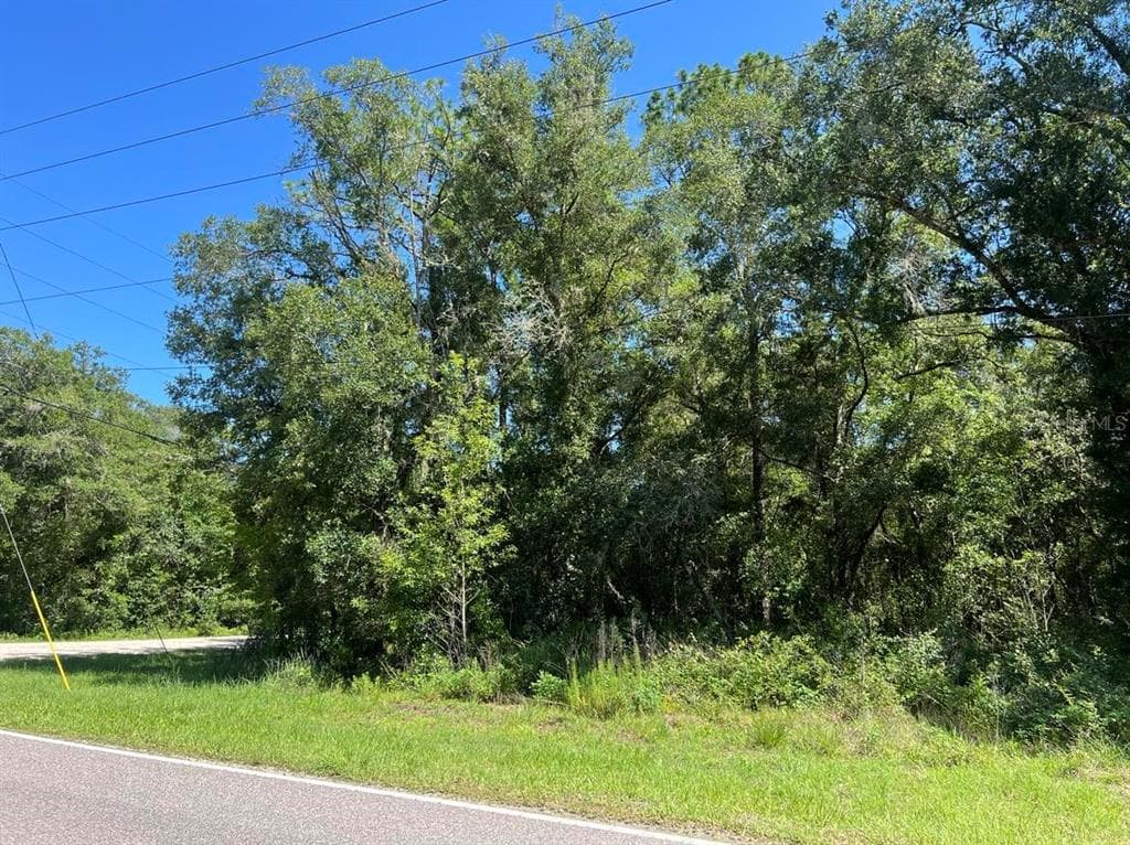 Lot #20 RICHARDSON BOULEVARD WEBSTER, FL 33597
