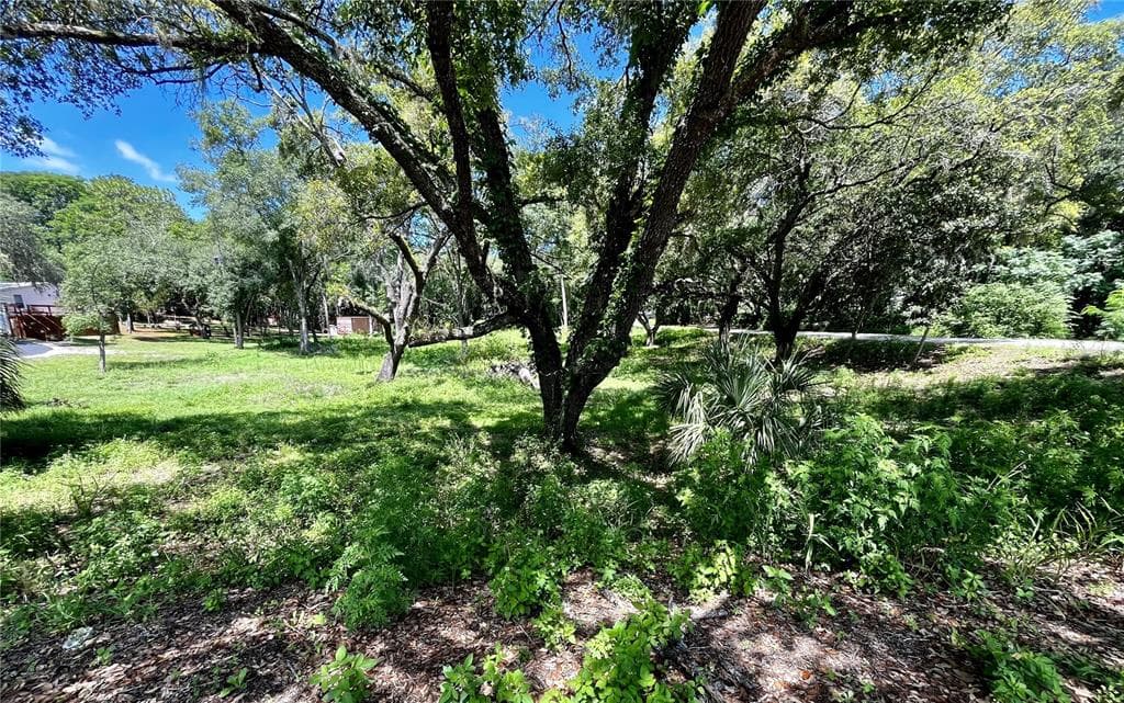 17913 GREENSBORO STREET SPRING HILL, FL 34610
